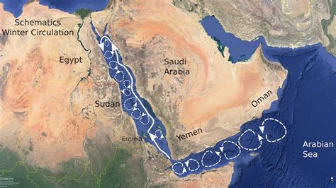 red sea current situation